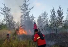 MPA Ajak Warga Hindari Pembakaran Lahan saat Kemarau