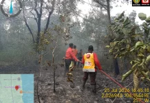 Api Lahap Lahan Merawang Berhasil Dipadamkan Berkat Sinergi Bersama