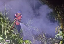 Ulah Oknum Bakar Sampah Sembarang, Damkar Bangka Dibuat Sibuk