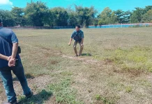 Renovasi Rumput Stadion OROM akan Libatkan CSR Perusahaan