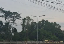 Halo RRI: Perbaikan Lampu Jalan Tetap Ada walau Efisiensi