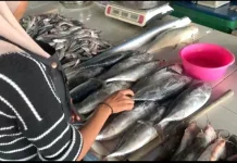 Harga Ikan di Pasar Higienis Air Ruai Naik Rp5- Rp15 per kg