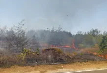 Lintas Timur dan Pesisir Pantai Belinyu Zona Rawan Kebakaran