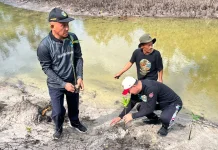Tanam 3.500 Bibit Mangrove, Belitung Timur Lindungi Pesisir dari Abrasi
