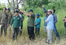 Batu Beriga Dijadikan Sentra Kebun Kelapa, Lahan 158,69 Hektar Disiapkan