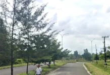 Lokasi dan Skema Pembiayaan Pembangunan RS Jantung-Stroke di Babel