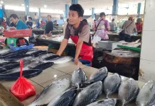 Inflasi Babel 0,35 Persen, Makanan Laut-Nasi Lauk Jadi Penyebab Utam