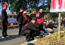 Pemkab Bateng - BPJN Percantik Jalan Pulau Pelepas Pangkalanbaru