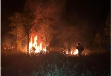 Bangka Barat Perkuat Kewaspadaan Hadapi Potensi Karhutla