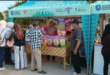 KKN PPM UGM di Bukit Layang, Dari Takut Buaya Sampai Bazar UMKM