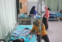 Kasus Malaria di Bangka Menurun hingga Agustus