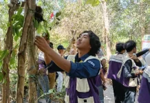 "Oleh-Oleh" Ilmu Konservasi: Mahasiswa KKN UGM Belajar Tanam Anggrek di Kampung Daun