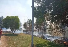 BMKG Deteksi 90 Titik Panas di Babel, Warga Diimbau Tak Bakar Lahan