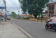 Halo RRI: Pohon Rimbun di Jl. Yos Sudarso Sungailiat Ancam Keselamatan Pengendara