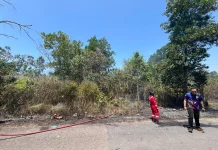 Musim Kemarau, Satpol PP Pangkalpinang Terima 3 Laporan Kebakaran Lahan Sehari