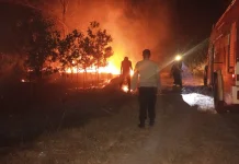 Sekitar 3 Hektare Lahan Terbakar di Pantai Matras Sungailiat