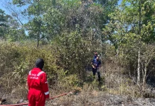 Damkar Catat 62 Kebakaran Lahan di Pangkalpinang