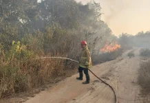 Karhutla di Belitung Capai 200 Kasus lebih, Bulan Agustus Tertinggi