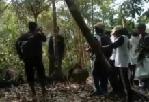 Sahabat Alam: Dari Hutan, Kita Belajar Keseimbangan