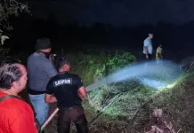PT PBB dan PT FLD Kerahkan 4 Mobil Padamkan Karhutla di Desa Membalong