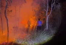 Kebakaran Lahan Berulang di PLTU Air Anyir, Satpol PP Bangka: Diduga Sengaja