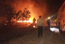 Perharinya, Damkar Bangka Terima Laporan 5 hingga 10 Karhutla