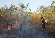 BMKG Deteksi 38 Titik Panas di Pulau Belitung