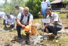 900 Pohon Ditanam di Tebat Rasau, Upaya Pelestarian Lingkungan di Beltim