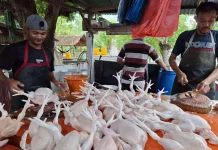 IPH Bangka Tengah Alami Kenaikan imbas Lonjakan Harga Ayam