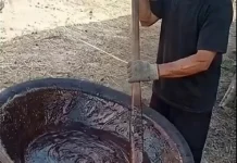 Tradisi Ngilok Dodol Nibung Jaga Kelestarian Budaya