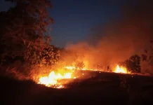 Titik Api Muncul Berulang di PLTU Air Anyir, Satpol PP Selidiki Pelaku