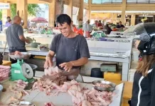 Harga Ayam di Babel Melonjak Dipicu HPP