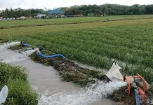 10 Unit Pompa Air Disalurkan ke Petani Bangka Antisipasi Kemarau