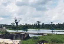 Tujuh Embung Long Storage dibangun untuk Irigasi Musim Kemarau