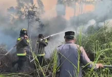 Hampir 27 Hektare Lahan Terbakar di Selindung Lama