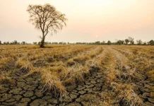 BMKG Babel Ingatkan Potensi Kekeringan Meteorologis