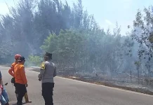 Karhutla di Bangka Belum Berdampak pada Kualitas Udara