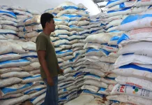 Pupuk Subsidi Capai Serapan 94 Persen di Kabupaten Bangka