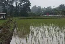 Pembangunan Embung Long Storage Ditargetkan selesai Oktober