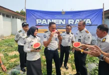 Lapas Pangkalpinang Panen Raya 518 Kg Citrullus Lanatus