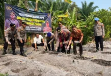 Perkuat Ketahanan Pangan, Kapolresta Tanam Bibit Jagung di Polsek Pangkalan Baru