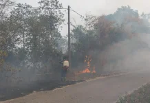 DLH Beltim Siapkan Uji Kualitas Udara Dampak Kabut Asap