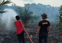 Hotspot Babel Tembus 100 Titik, BMKG: Bangka Tengah & Selatan Paling Banyak