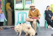 Dinpanpertan Bangka Menggelar Vaksinasi Rabies Gratis