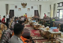 700 Hektare Lahan di Bangka Terbakar, TNI Turun Bantu Cegah Karhutla