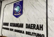 Pajak Daerah Kunci Kedaulatan Pembangunan Infrastruktur dan Kemandirian Fiskal