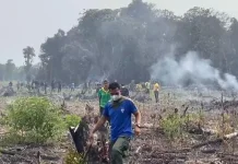 Tak Ada Akses Kendaraan, Pemadaman Karhutla Bukit Maras Dilakukan Manual