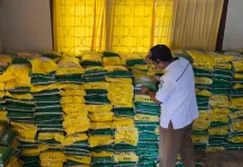 Beras Kemasan 5 Kilogram Belum Banyak Tersedia