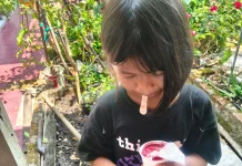 Ahli Gizi: Es Krim Tak Bisa Gantikan Cairan Tubuh