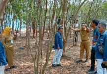 RRI Sungailiat Gelar Dialog Jaga Alam Bangka di Hutan Pelawan